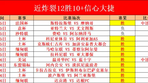 2025，中国体育新星璀璨夺目
